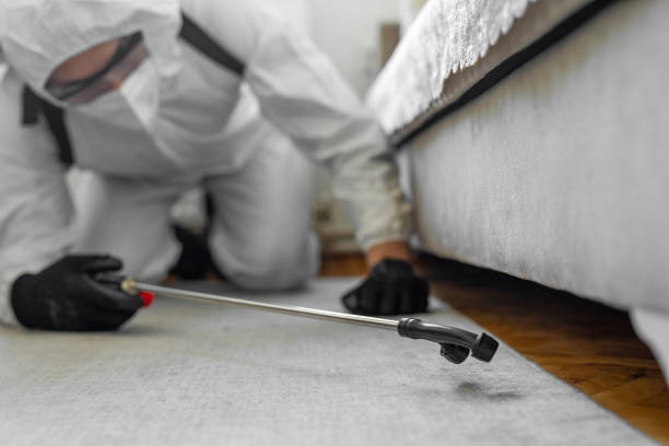 Professional Bed Bug Control technician working in Osceola, IN