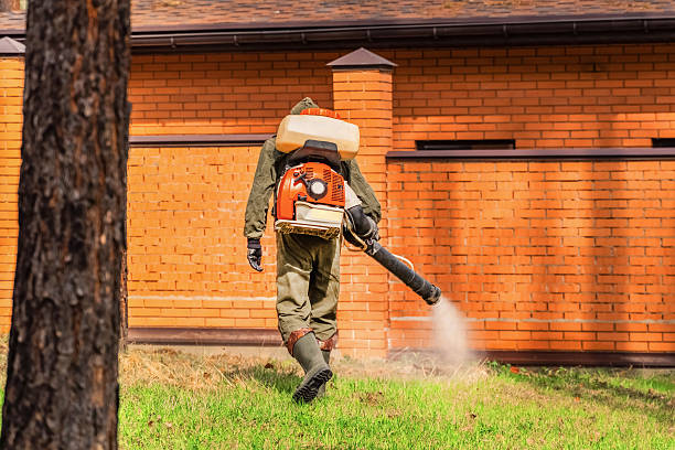 Trusted Termite Control service in Osceola, IN - Nex Pest Control